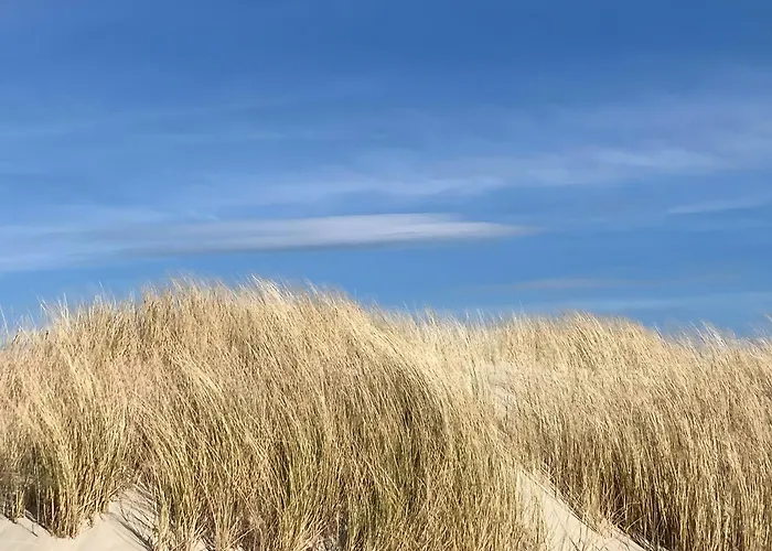 度假居 Norderneyweg 10